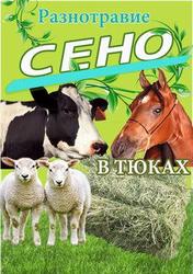 Продам свое сено в тюках.