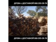 Продам дрова колотые,  сухие